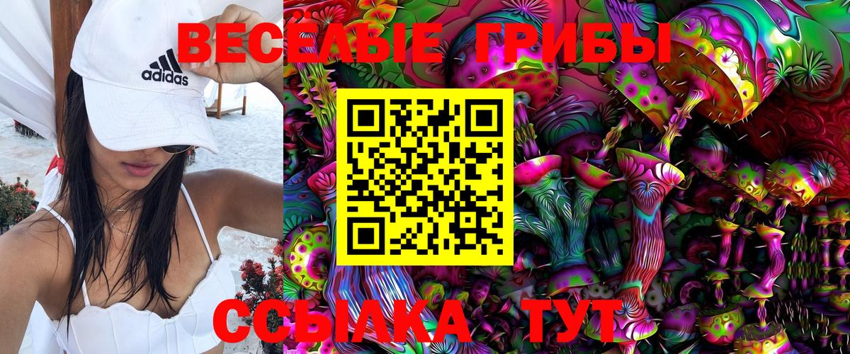 Псилоцибиновые грибы MAGIC MUSHROOMS Гурьевск
